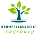 Baumpflegedienst in Augsburg